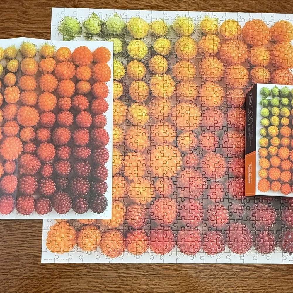Genuine Fred Salmonberries Gradient 500 Piece Puzzle Complete by Emily Blincoe